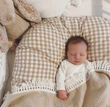 Load image into Gallery viewer, Gingham Baby Lounger
